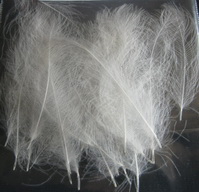 CDC feathers white lg select 30 ps